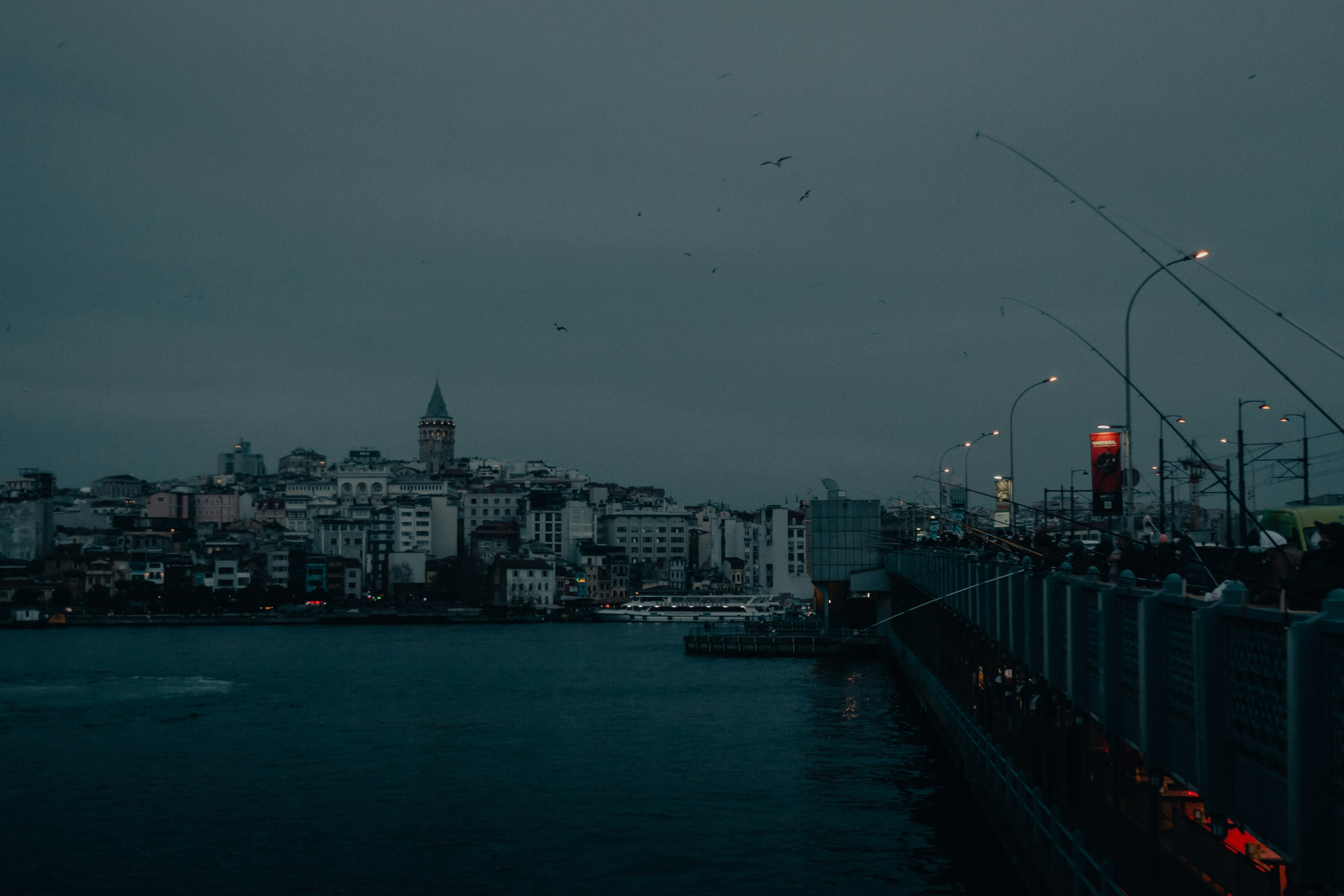 city skyline near body of water during daytime